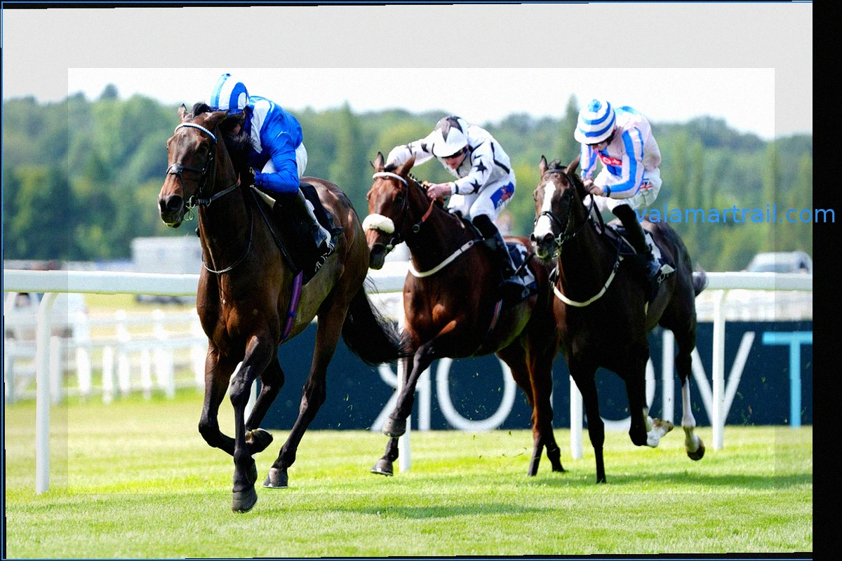 Hoy en Sky Sports Racing: Participación británica en Deauville